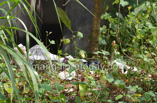 Garbage infront of BJP Office Mangalore